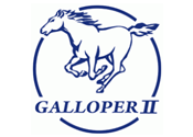 Catalizzatore GALLOPER
